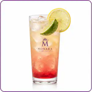 Citrus Bubble ** ALCOHOL FREE **