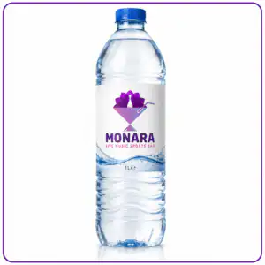 Water Large 1 Litre